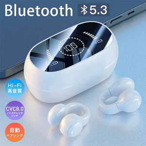 CXCz `Cz bluetooth5.3 Cz iphone15 u[gD[X Ў  cʕ\ ʒ iPhone/Android wbhz ^ y HiFi uڑ ڑ ݌^ E