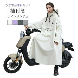 yX[p[Z[50%OFFzy CR[g ] jp t C|` |` CEFA  fB[X Y oCN JH Jbp  O }} } ʋ 