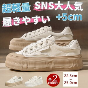 yő2000~OFFzXj[J[ fB[X ؍ _bhXj[J[ fB[XV[Y  5cm r ₷ Ȃ C 傫TCY