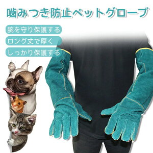 ybgO[u ݂h~ ݂h~  L   یO[u  ߊlp ybg p Lv AEghA BBQ o[xL[ | ωΐ ϔM