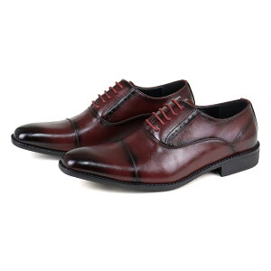 rWlXV[Y Y 傫TCY ₷ Ռz C\[ vC v U[ H OH [t@[ y 3E L  24.5-29cm 30cm  No.2730-2737 AAA+ TG[vX