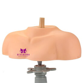 【ウィッグショルダー 肩　アップウィッグ】練習用 セットウィッグ　トレーニング　カットウィッグ　NBAA代用　金髪　ヘアアレンジ マネキン　クランプ