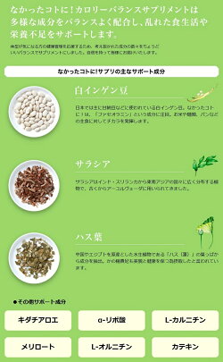 なかったコトに!120粒×1袋【なかったことに白いんげんメリロートダイエットサプリダイエットサプリメントサプリ】★3,240円以上で送料無料