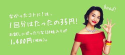なかったコトに!メガパック
