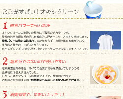オキシクリーン500g