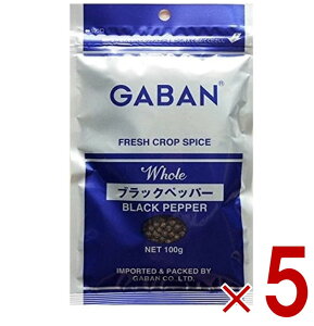 y11/20-27I IōőSz|CgobNvGg[z Mo ubNybp[ z[ GABAN 100g Ӟ Ӟ h XpCX RVE  5