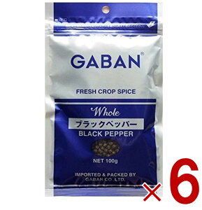 y11/20-27I IōőSz|CgobNvGg[z Mo ubNybp[ z[ GABAN 100g Ӟ Ӟ h XpCX RVE  6