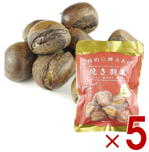 y|Cg5{!! vGg[11/4-10Ԍzې {iIɏĂグ ĂI ĂI VÊÌI ÌI 80g I XC[c  N 5