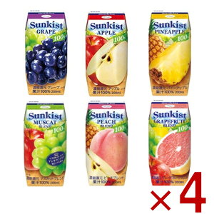 Xi TLXg 200ml t[c@W[X 6 A\[g Zbg IW Abv O[v }XJbg s[`  e4