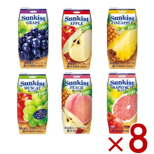 y|Cg5{!! vGg[11/4-10ԌzXi TLXg 200ml t[c@W[X 6 A\[g Zbg IW Abv O[v }XJbg s[`  e8