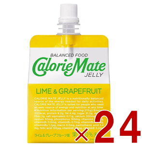 y|Cg5{!! vGg[11/4-10ԌzJ[Cg[[ C&O[vt[c 24 h{⏕[[