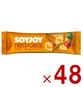 y15 IōőSz|CgobNvGg[z \CWC t[c xCNh`[Y _CGbg ԐH 哤  x  ^  soyjoy ː ܂Ƃߔ 48