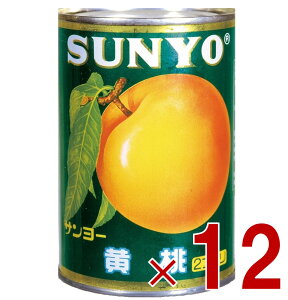 T[  ʋl 4   t[c T[ ʕ t[c Mtg ~ ۑ 12