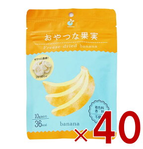 y15 IōőSz|CgobNvGg[z }T ȉʎ t[YhC oii t[c hCt[c Om[ VA [Og gbsO  