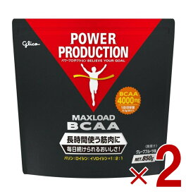 【P5倍 24-27日マラソン限定】グリコ BCAA パワープロダクション マックスロード アミノ酸 グレープフルーツ風味 850g 2個