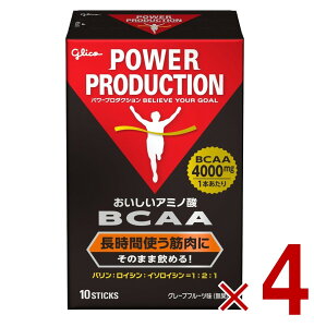 y15 IōőSz|CgobNvGg[z OR BCAA p[v_NV A~m_ BCAAXeBbNpE_[ ؎vnA~m_ O[vt[c 1{(4.4g)×10