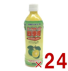 �y�|�C���g10�{!! ���v�G���g���[ 19-26������z����o�����[�X �V�[�N���[�T�[����l�G�� �ʏ`100% 500ml �W���[�X �V�[�N���[�T�[ �ʎ� ��� �~�b�N�X 24��