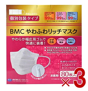 y15 IōőSz|CgobNvGg[z BMC ӂ탊b`}XN  80 T[WJ sDz lp ʕ 3