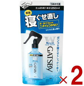 }_ Mcr[ Q EH[^[ ߂p 250ml lߑւ GATSBY ߂ 2