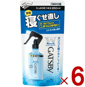 y11/20-27I IōőSz|CgobNvGg[z }_ Mcr[ Q EH[^[ ߂p 250ml lߑւ GATSBY ߂ 6