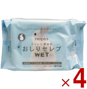 y11/20-27I IōőSz|CgobNvGg[z lsA Zu WET EFbg lւ 60 4Zbg ӂ gCɗ 