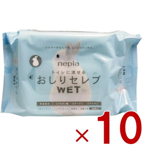 lsA Zu WET EFbg lւ 60 10Zbg ӂ gCɗ 