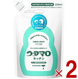 【P最大5倍 要エントリー 4-10日マラソン限定】ウタマロ キッチン つめかえ用 250ml 詰め替え うたまろ 詰替え つめかえ 食器用 洗剤 きっちん 2個