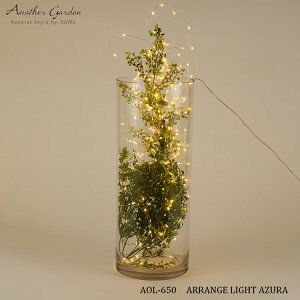 Xd Another garden AOL-650 ARRANGE LIGHT AZURA AWCg AY tFCNO[ K[h eE Ɩ CeA fBXvC LED  C~l[V