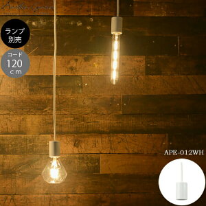 Another garden SWAN BULB SOCKET 120 Xou\Pbg zCg LED v Ή Vv _ _CjOp JtFp Xܗp g  y_gCg Ɩ