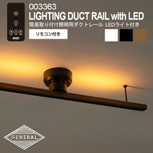 LIGHTING DUCT RAIL with LED 003363 ȈՎtƖp_Ng[ LEDCgt BRID ubh Ɩp _Ng[ LEDƖ  F dF 10iK F bNX  ԐڏƖ _Ng[