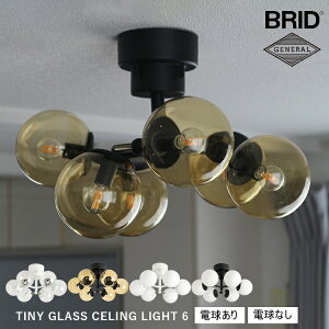 TINY GLASS CEILING LIGHT 6 ^Cj[KXV[OCg 6 dȂ d zCg NAKX ubN Ao[KX ~NKX ^b`XCb` BRID ubh V Vv 