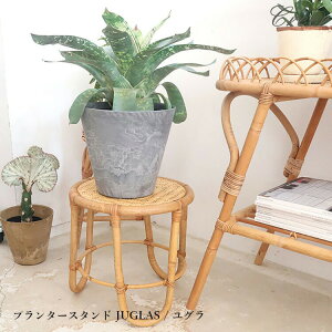 v^[X^h JUGLAS / O Be[WfUC v^[X^h v^[ bN ԑ A X^h ^Ƌ  A K[fjO Creer NG