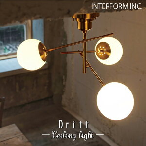 Dritt hbg V[OCg C^[tH INTERFORM 3 V Ɩ Cg v CeA Vv AeB[N _ re[W C JtF g V k rO Q 