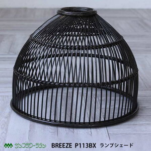 ^ vVF[h ubN P113BX Breeze ىƋ G CeA y_gCg  AWA GXjbN 썑 o Ch ^C i` a ][g k ^[h