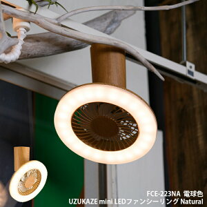 Xd FCE-223NA UZUKAZE mini Natural EYJ[ ~j V[Ot@ CeAt@ |V[O EH[NCN[[bg gC ʎ  RȒP dF
