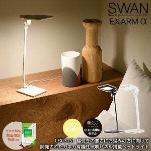 yr[Ńv[gzXd GOU[ LEX-3151  LED X^h Cg Ǐ u^Ɩ  Ɩ Ɩ rOp Ǐ ׋ Qp RpNg fXN dF