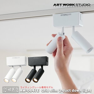�y���r���[�Ńv���[���g�zGrid slim 2-duct down light �O���b�h�X����2�_�N�g�_�E�����C�g ����LED ���C�e�B���O���[����p���f�� ARTWORK STUDIO �A�[�g���[�N�X�^�W�I �_�E�����C�g �V��Ɩ� ���t�� 