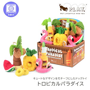 P.L.A.Y. vC gsJp_CX Pi BOXZbg    oʂ ybgߋ XgXU ybgʂ  ӂӂ V ې  q 