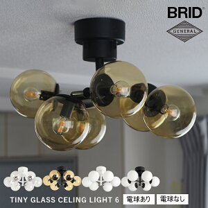 yr[Ńv[gzTINY GLASS CEILING LIGHT 6 ^Cj[KXV[OCg 6 dȂ d zCg NAKX ubN Ao[KX ~NKX ^b`XCb` BRID u