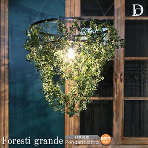 yr[Ńv[gzForesti grande tHXeB Of y_gv fBNbZ DICLASSE Yi y_gCg LEDΉ 75cm 60W ؉A e  i` _ k r