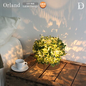 yr[Ńv[gzOrland I[h e[uv DICLASSE fBNbZ I[h e[uCg LEDΉ i` _ k Re[WRA xbh \t@ Q Orland Ɩ 