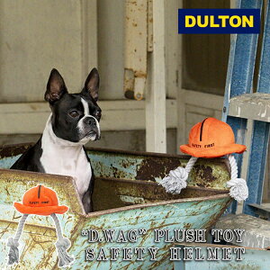 yr[Ńv[gzDULTON _g vbVgC SAFETY HELMET wbg ̂  ybgp  G 킢 ʂ XgXU ނ  oyb