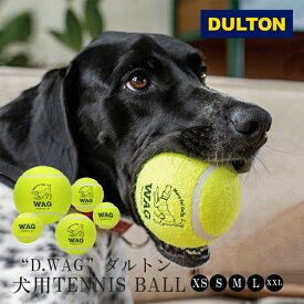 【レビューでプレゼント】DULTON ダルトン TENNIS BALL SET テニスボールセット ボール おもちゃ 犬 犬用おもちゃ ペット用 テニスボール ストレス発散 ペット 犬用玩具 噛むおもちゃ ペット用品 公園 遊ぶ ドッグラン 散歩 選べるサイズ