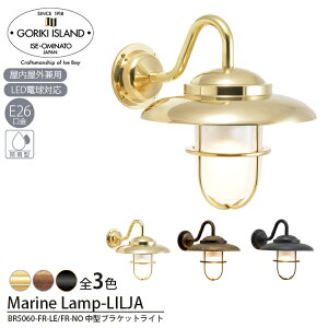 yr[Ńv[gzBR5060 FR LE KXLEDv BR5060 FR NO KXdtȂ S[LACh Goriki Island uPbg EH[ |[` Cg }v DƖ 