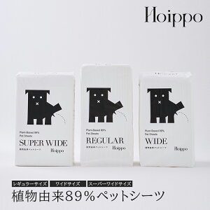 yr[Ńv[gzAR89%ybgV[c Henli w[ Hoippo AR CO2팸 ɗD z|}[ L R Y Yh~e[v ybg  z TXeBiu 