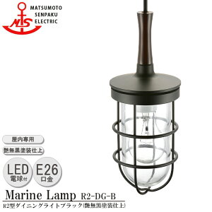 yr[Ńv[gz{D R2^_CjOCg ubN R2-DG-B LEDvf MARINE LAMP hd ^J ؍ Ɩ rO X^h ƖCg _CjO {