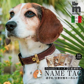 【レビューでプレゼント】myfamily FRIENDS ネームタグ イタリア製 オーダー 名入れ おしゃれ 可愛い チョーカー 犬 猫 オーダーメイド 軽量 ペット ID TAG NAME TAG 迷子札 災害 対策 キーホルダー マイファミリー 彫刻 ハンドメイド チャーム 迷子対策 リード タグ