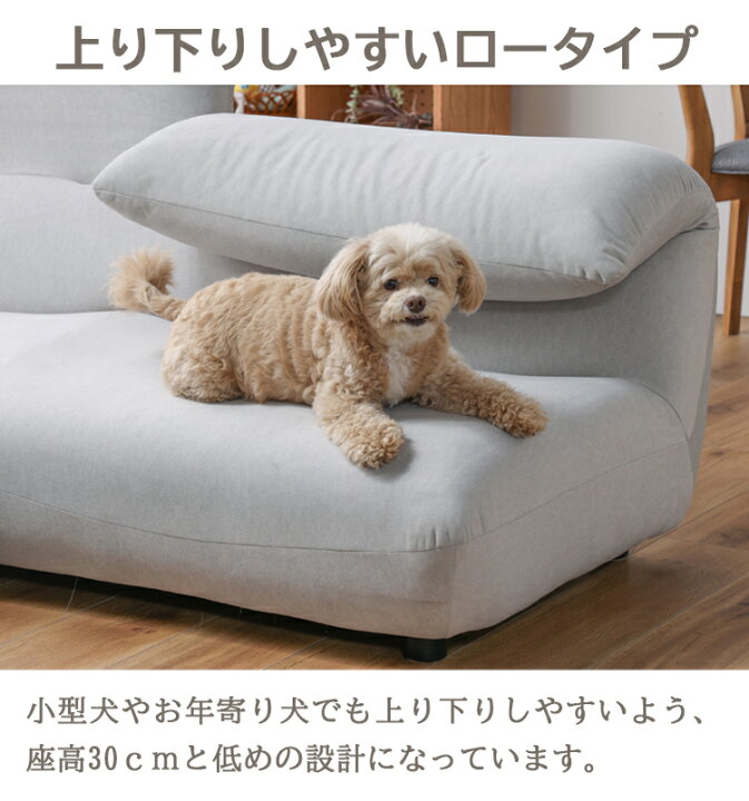楽天市場】【レビューでプレゼント】関家具 Sammy サミー ソファセット 
