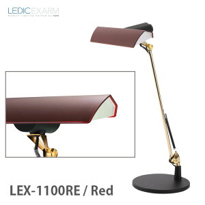 yr[Ńv[gzSWAN X EXARM gNYh GOU[ j[[N LEX-1100 oJ[Yv E17 fXNv fXNCg  wK led X^h dR[h { p\R 