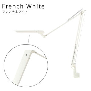 yr[Ńv[gzXd LEDIC EXARM DIVA GOU[ LEX-996 Nv^Cv { fXNX^h fXNCg Cg Led   F  rO p\R ubL